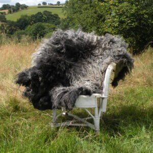 Home Hebridean rug