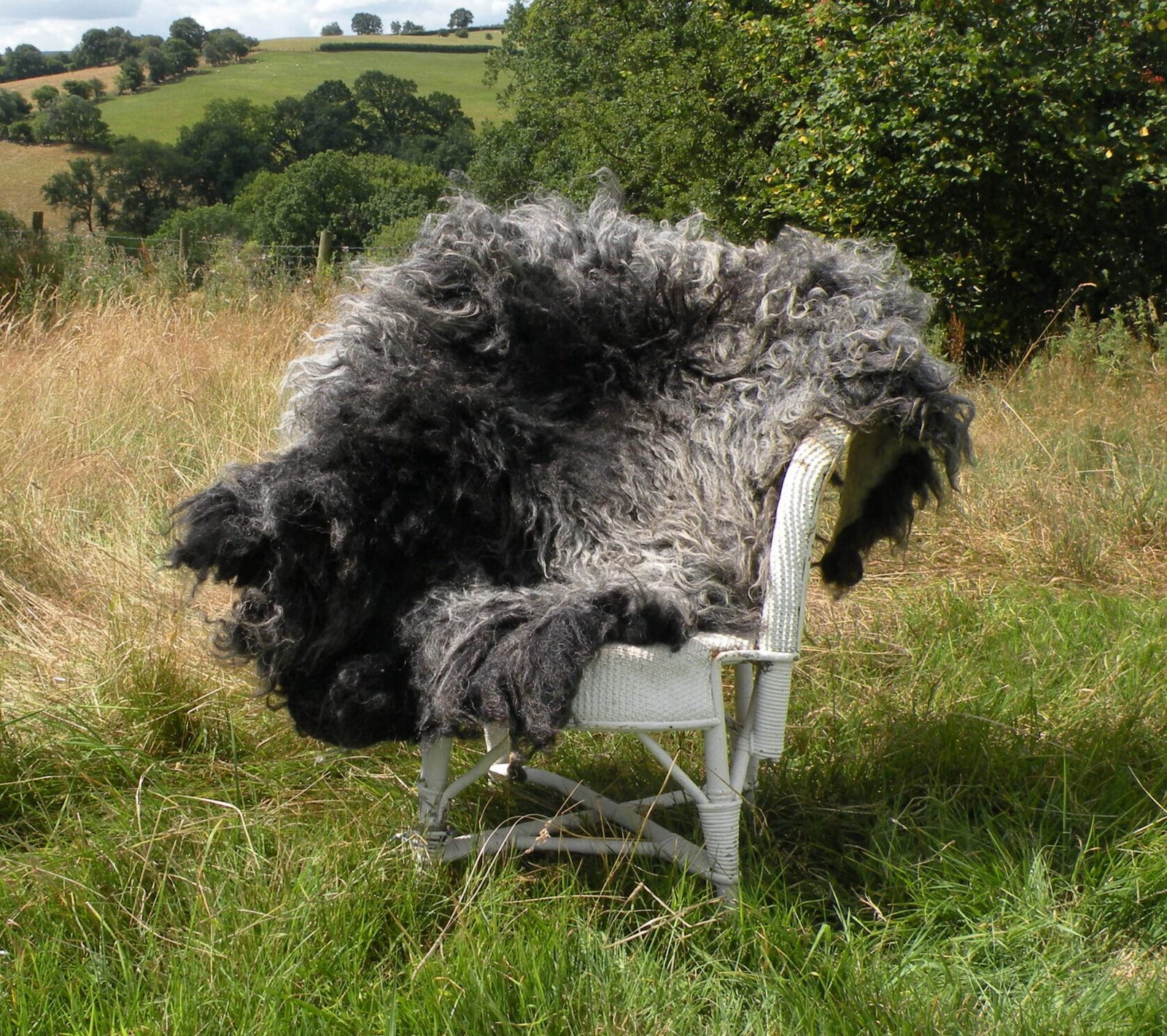 dscn7334 Hebridean rug