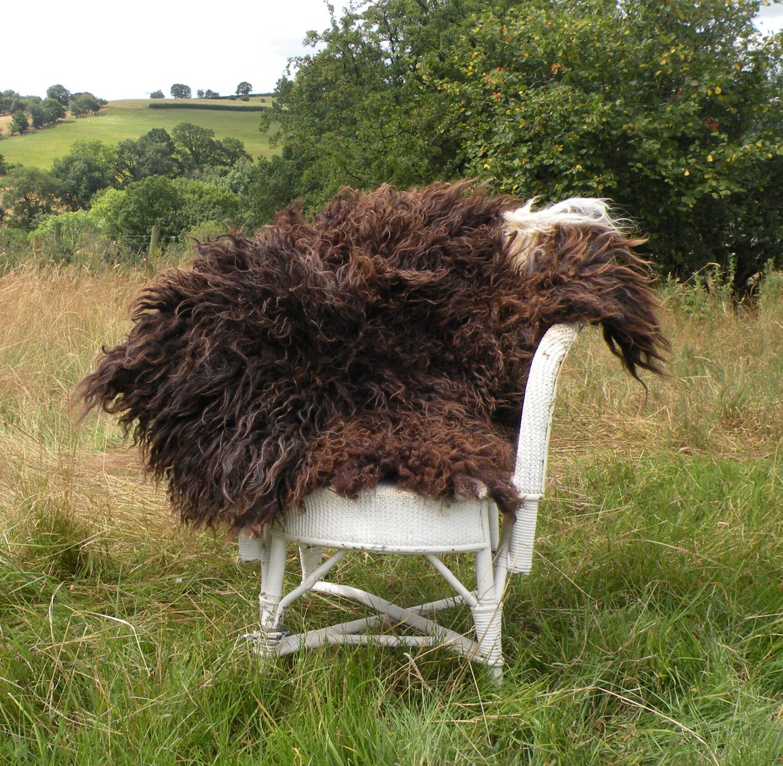 dscn7340 A brown felted rug