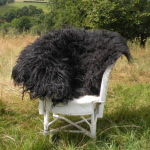 Home Hebridean rug