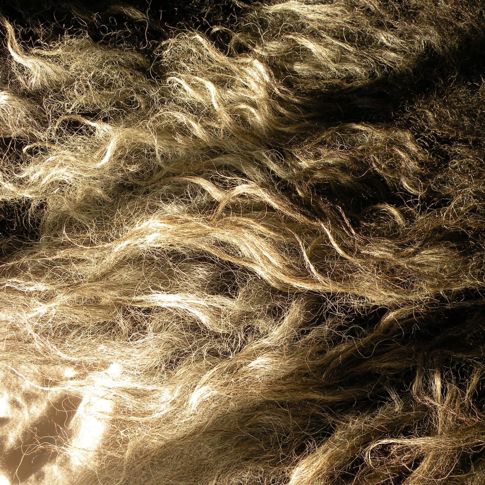 dscn7490 Close up of Hebridean rug