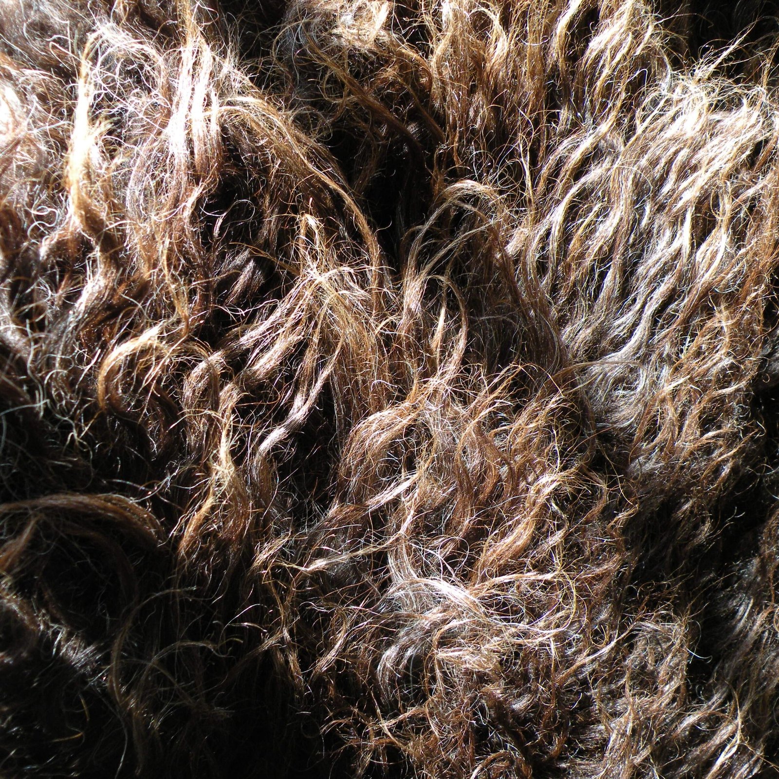 dscn7492 Close up of the locks of a brown boreray rug