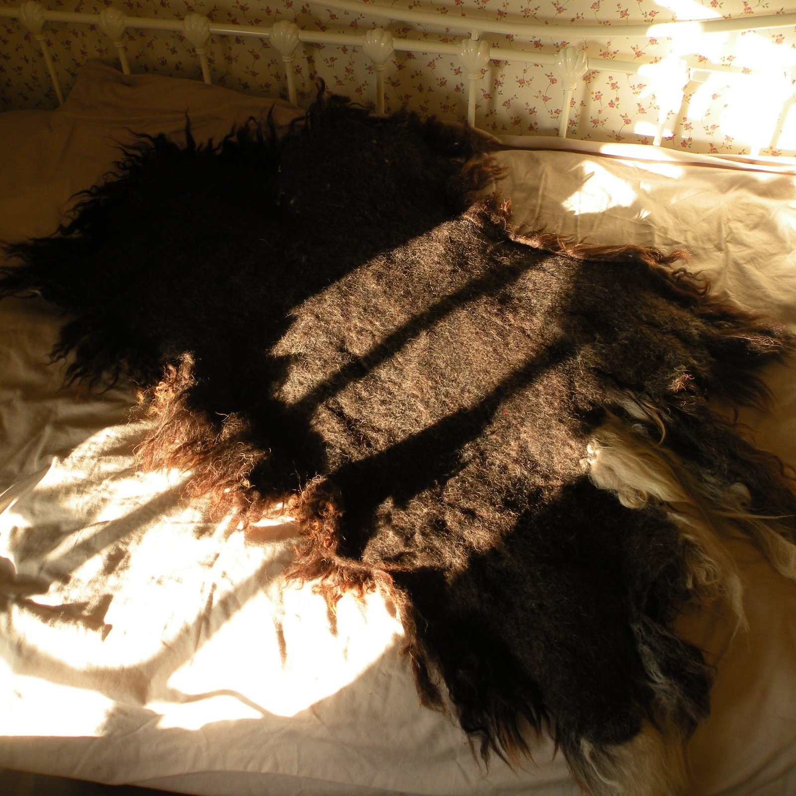 dscn7493 The back of a brown felted rug on a bed in the sun